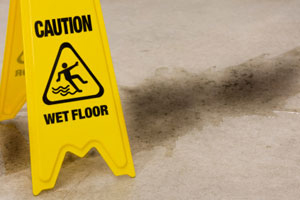 Lutz Slip and Fall Attorney